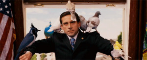 The Movies That Have Been Made Better because of Steve Carell