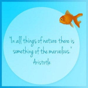quotes #nature #Aristotle