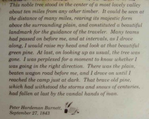 Diary quote about Lone Tree.