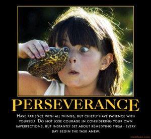 Funny Persistence Quotes. QuotesGram