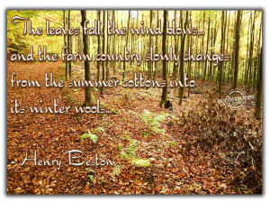 more quotes pictures under autumn quotes html code for picture