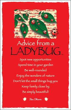 Advice from a Ladybug... More