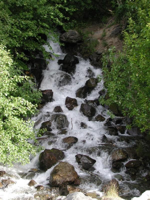 Stillness Speaks by Eckhart Tolle