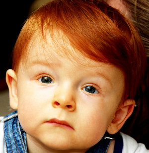 Description Redheaded child mesmerized 2.jpg