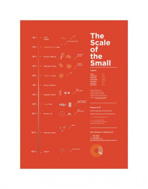 Scale of the Small