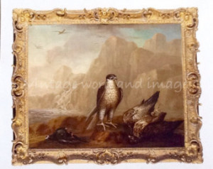 Peregrine Falcons Landscape Vintage Book Plate Color Lithograph ...
