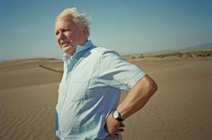 THE naturalist Sir David Attenborough is leading an assault by 90 ...