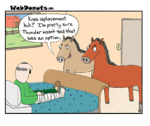 Knee Surgery Cartoons http://www.webdonuts.com/2012/03/thunder/