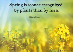 Quotes and Pics 119, Spring