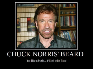 Chuck Norris Mustache has never been explored by man