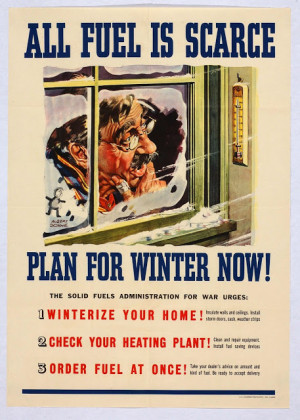 WWII Food & Fuel Posters, Garden, Heat & Canning