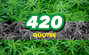 For all those that celebrate 4/20, read these quotes from more ...