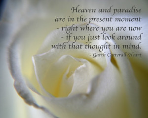 White Rose with Quote