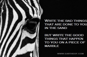 Zebra quote