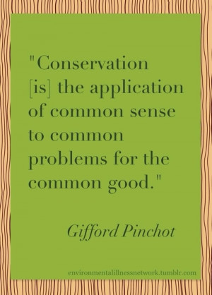 ... sense to common problems for the common good.” – Gifford Pinchot