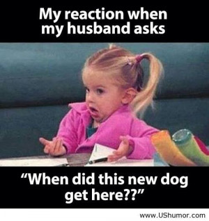 My reaction when my husband asks US Humor - Funny pictures, Quotes ...