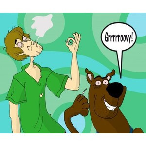 Scooby Dooby Norville With Just A Hint Of Learning