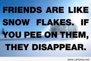Funny Quotes About Life Lessons (23)