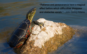 John Quincy Adams quote (image of a painted turtle in Salmon Arm, BC ...