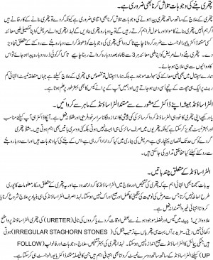 where is gallbladder located just above