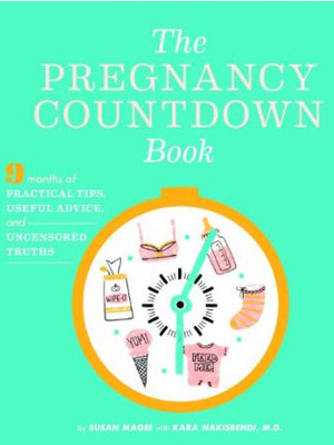 The Pregnancy Countdown Book: Nine Months of Practical Tips, Useful ...