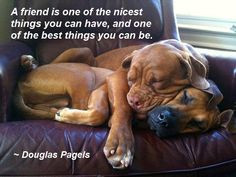 friend is one of the nicest things you can have, and one of the best ...