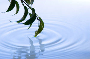 The transformation of church will start like a ripple but with each ...