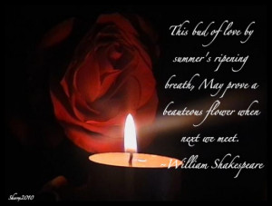 ... --słowa--quotes--RUZE--red-rose-and-quote--Love--sayings_large.jpg