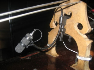 RE20 for upright bass into Bose L1-4099v-clipped-bridge.jpg