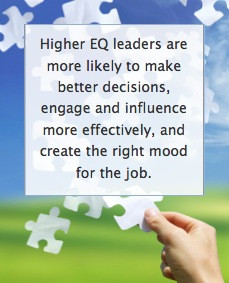 ... case for emotional intelligence leadership and emotional intelligence