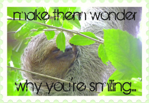 smile,+sloth,+costa+rica,+smile+quotes.jpg
