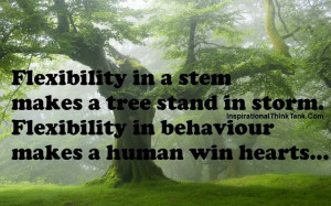Flexibility in a stem makes a tree stand in storm.Flexibility in ...