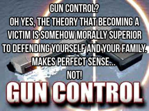 Little Gun History Control