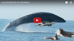 posted by aleksandar savic at 12 01 am email this blogthis share to ...