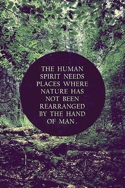 To one day hike the Appalachian TrailHuman Spirit, God, Nature Quotes ...