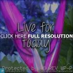 sports quotes, sayings, best, journey inspirational sports quotes ...