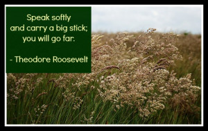 Teddy Roosevelt on what it takes to go far