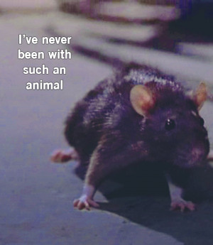 Get it? Cos it’s the Buffy-Rat? Oh, Ellen , you are ever the joke ...