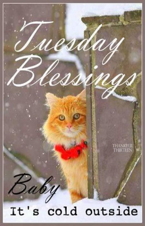 tuesday blessings pictures photos and images for facebook tumblr