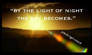 Pamela quote - by the light of night