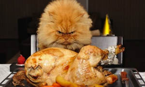 Entertaining Under the Influence…Turkey Lurkey