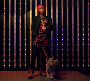 Baby Tiger in the Tyga Video with the Loyal