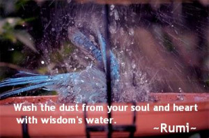Soul Quotes, Wash the dust from your soul, Rumi Quotes on Soul