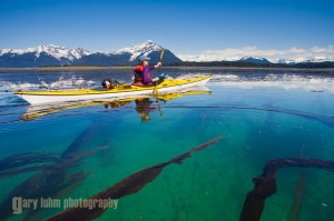 Kayaking Glacier Bay National Park