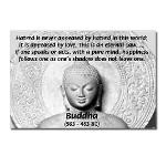 Buddhism Philosophy of Love Postcards (Package of