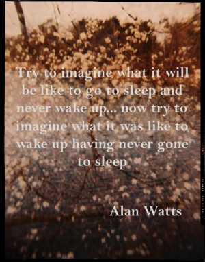 alan watts quotes | Alan Watts quote | Specula-tions on Life's ...