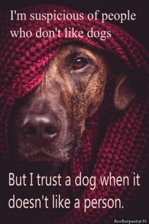 ... of people who don t like dogs but i trust a dog when it doesn t like