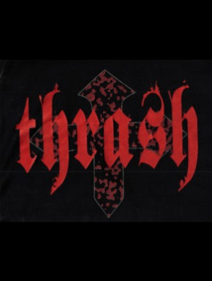 Thrash Metal Odmiana Heavy...