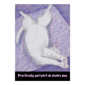 Cute white cats artists drawings quotes print