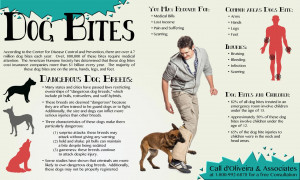 dog-bite-lawyer-dangerous-and-fatal-dog-attack-facts-infographic.jpg